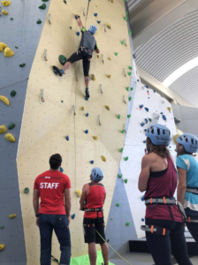 Como armar un muro de escalada para chicos - Revolution Climbing - todo  para tu muro de escalada